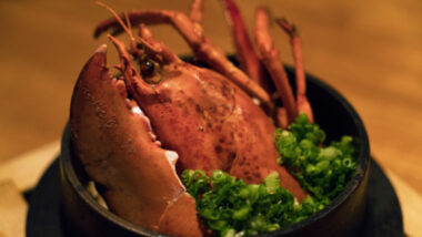 隠れ家 「広尾 小野木」 で味わう和の饗宴