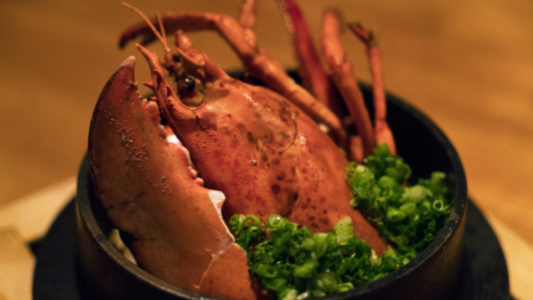 隠れ家 「広尾 小野木」 で味わう和の饗宴