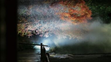 刹那に立ち現れる 文化の深淵  --鎌倉・報国寺 「かげろひ」が提示する、 至高の没入体験