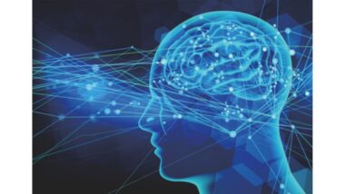 “脳の老化とは何か？ 30代から始まる変化に備える“